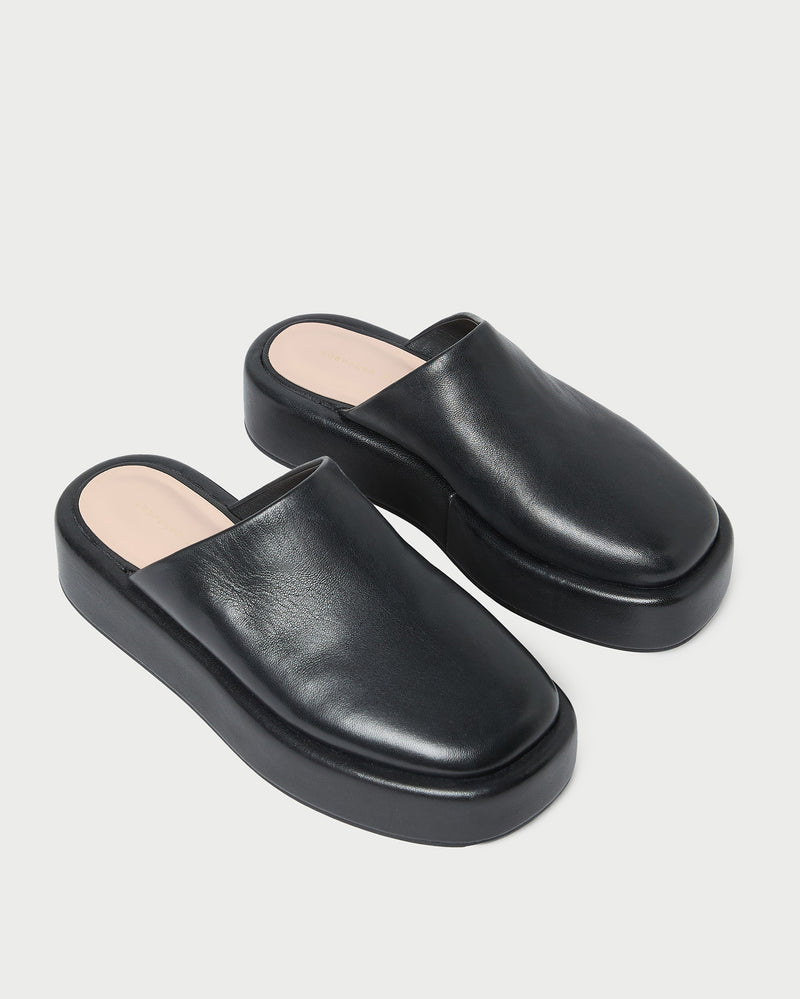 Color: Black