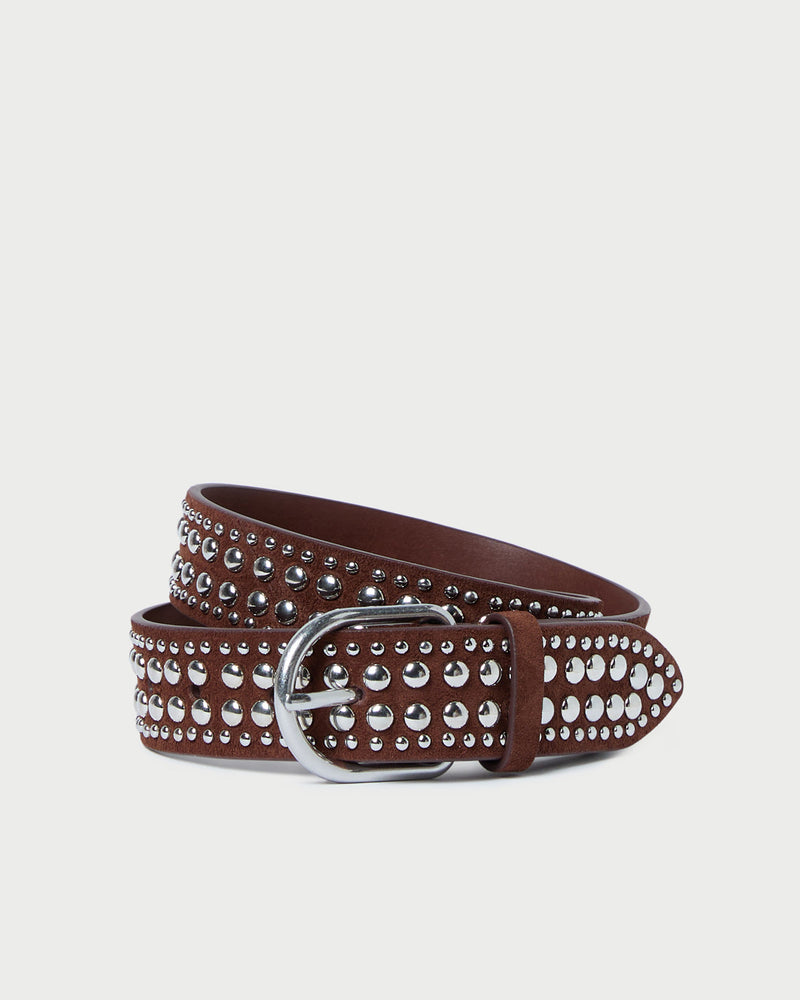 Isaac Espresso/Silver Studded Belt in espresso brown leather with silver studs.