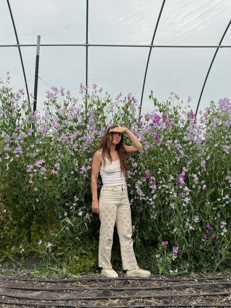 Texas Blooms With Leah Pipes Meltzer