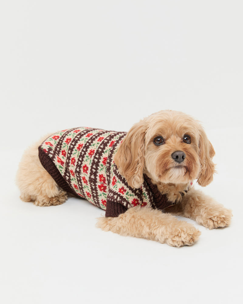 Intarsia Dog Sweater in brown and red intarsia wool.
