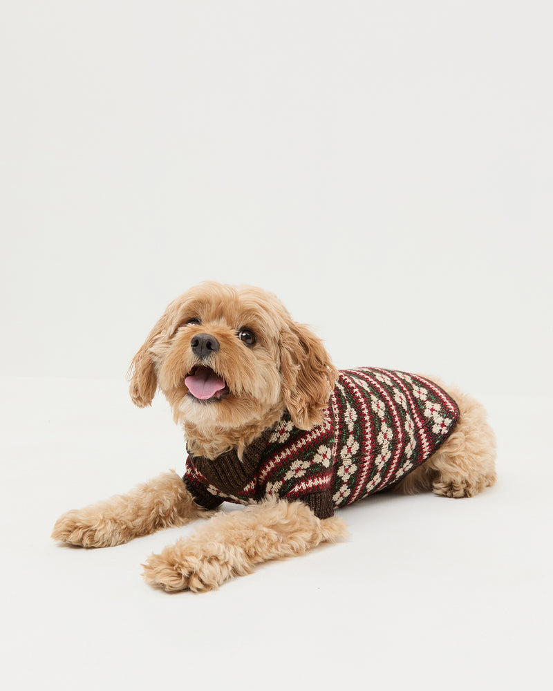 Intarsia Dog Sweater