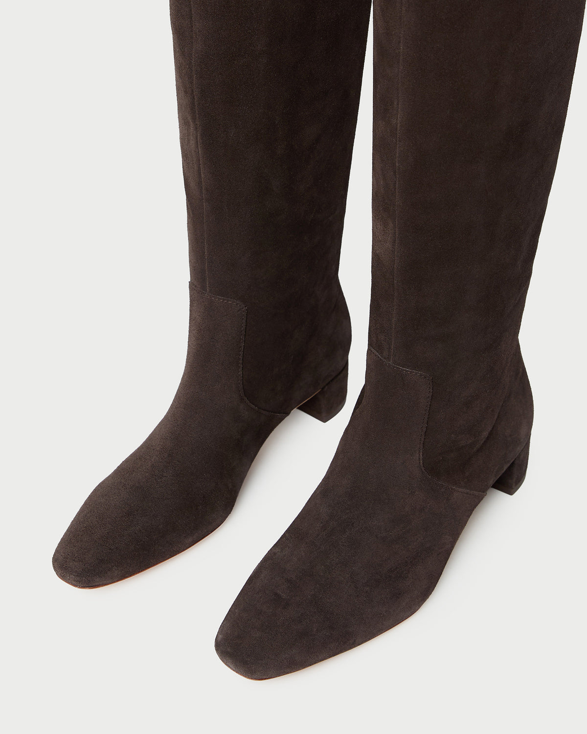 Indy Brown Suede Tall Boot in brown suede.