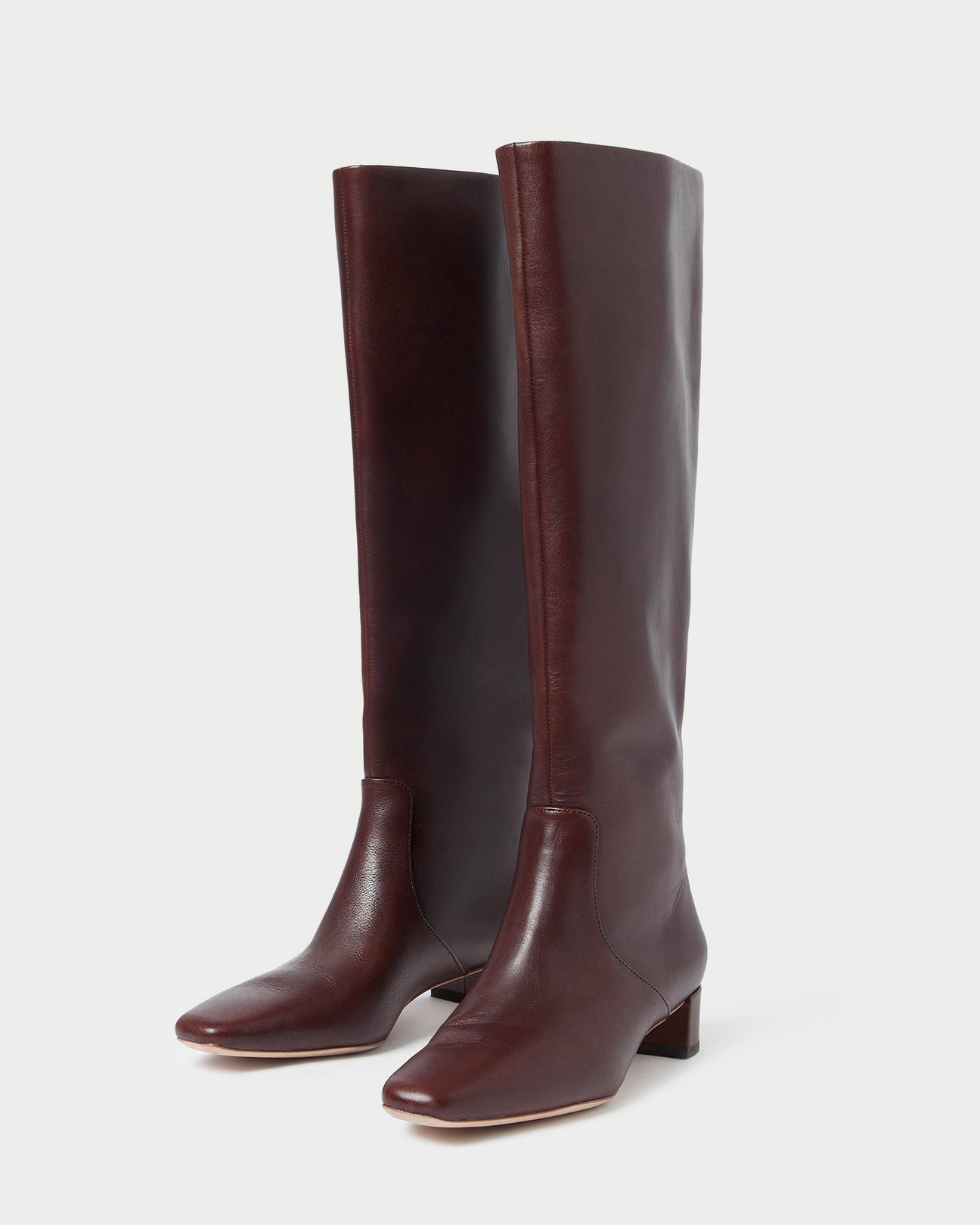 Loeffler Randall | Indy Cacao Tall Boot l Tall Boots l Footwear