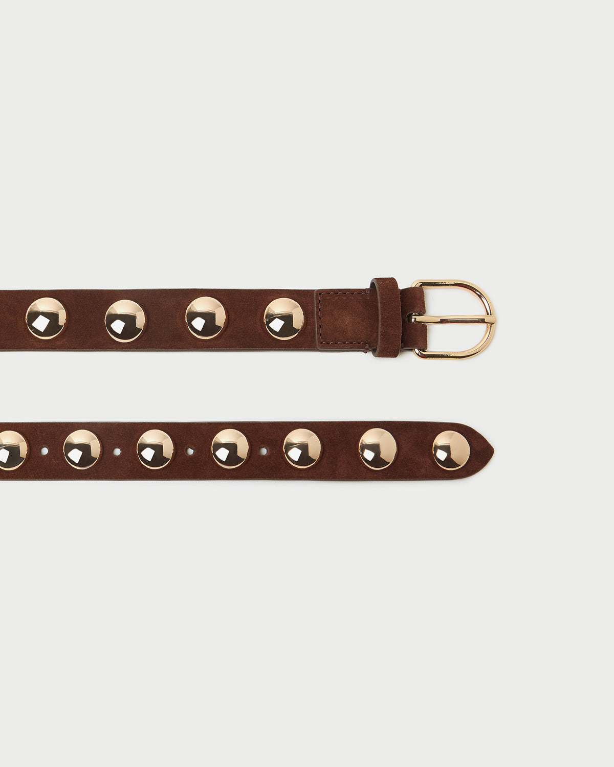 Issa Espresso/Champagne Studded Belt in espresso leather with champagne accent studs.