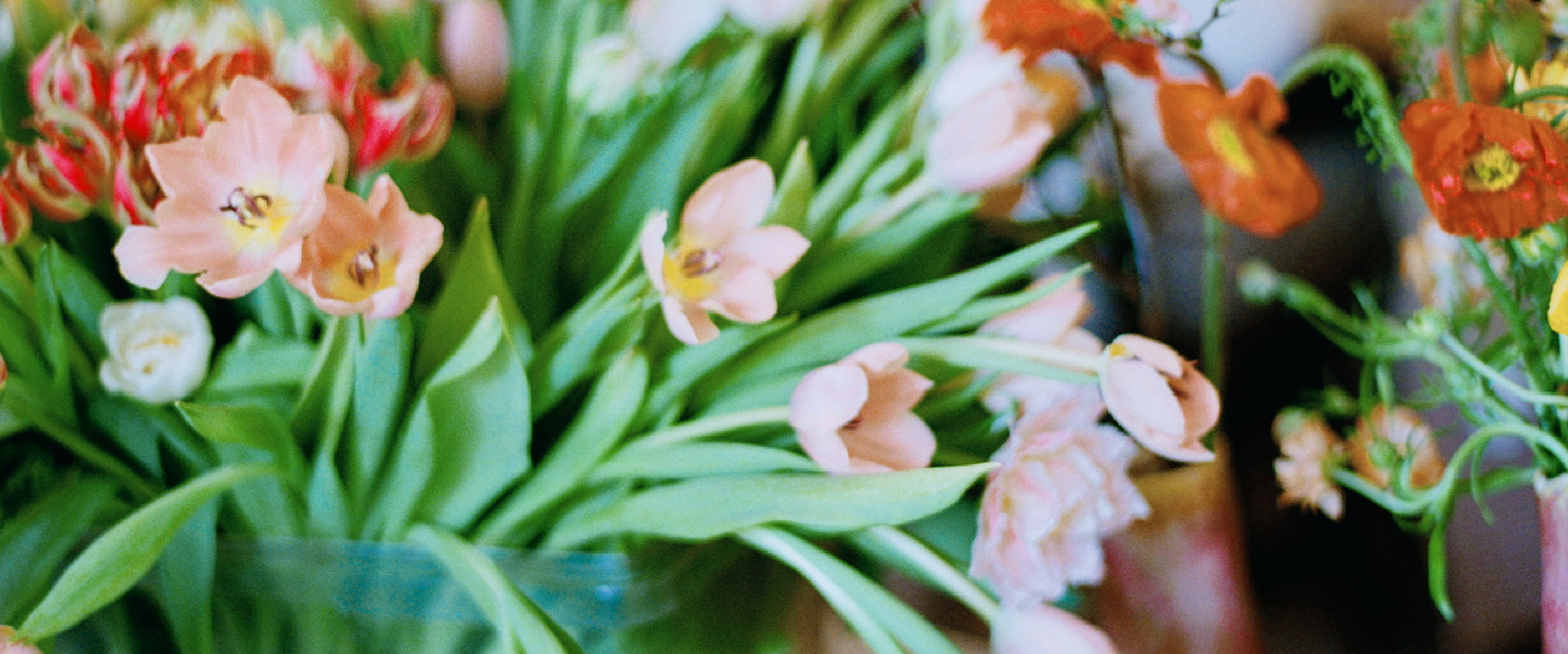 A close up of assorted arrangements of flowers.
