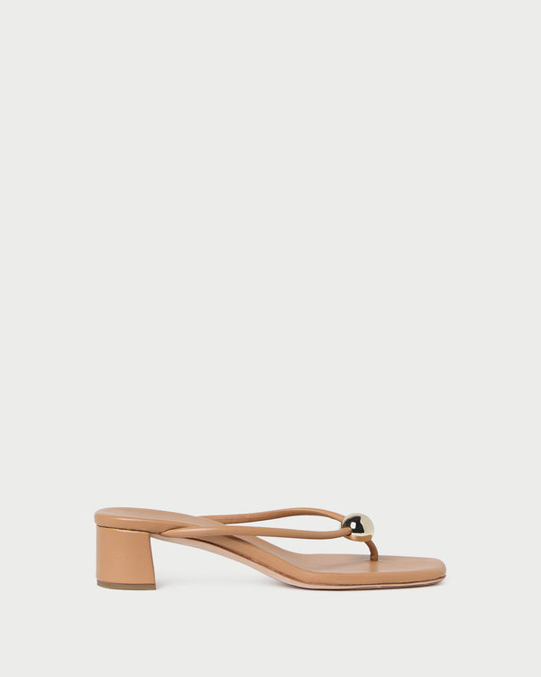 Color: Dune