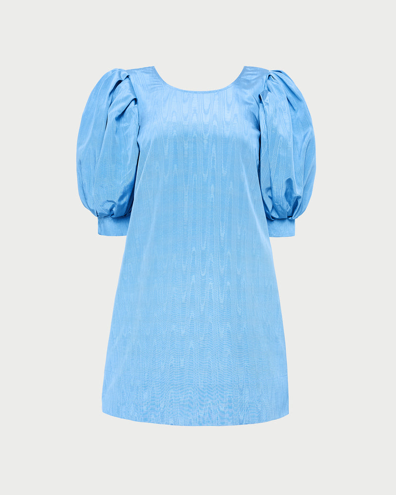 Willy Mini Dress