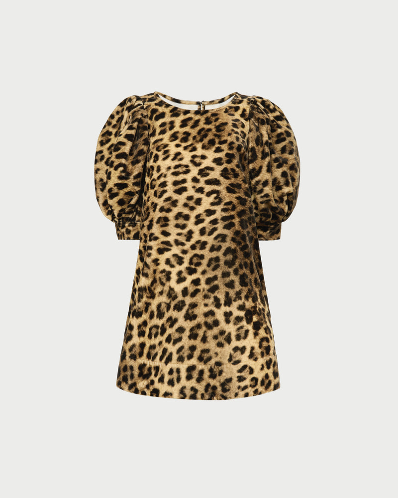 Willy Mini Dress in leopard print velvet.