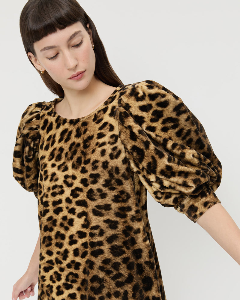 Willy Mini Dress in leopard print velvet.