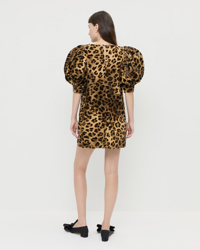 Willy Mini Dress in leopard print velvet and Noa Black Moiré Bow Flat.