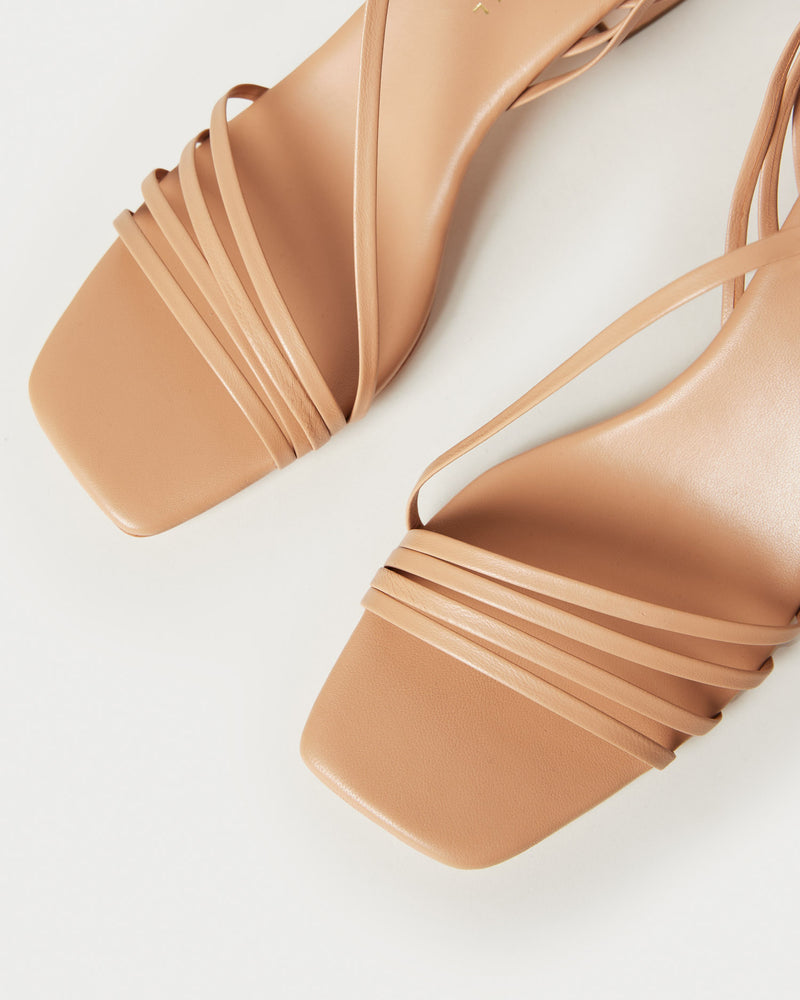 Color: Dune